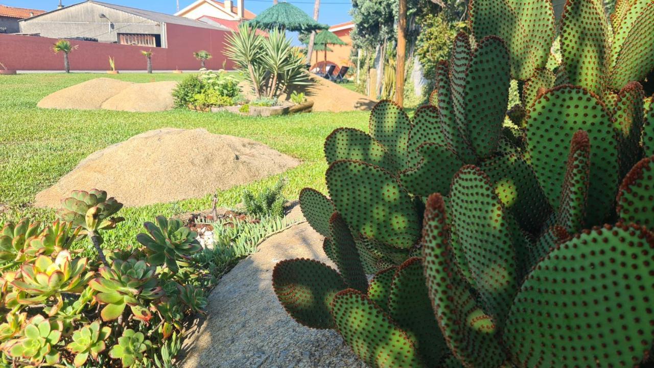 Villa Hollidays Dreams à Póvoa de Varzim Extérieur photo