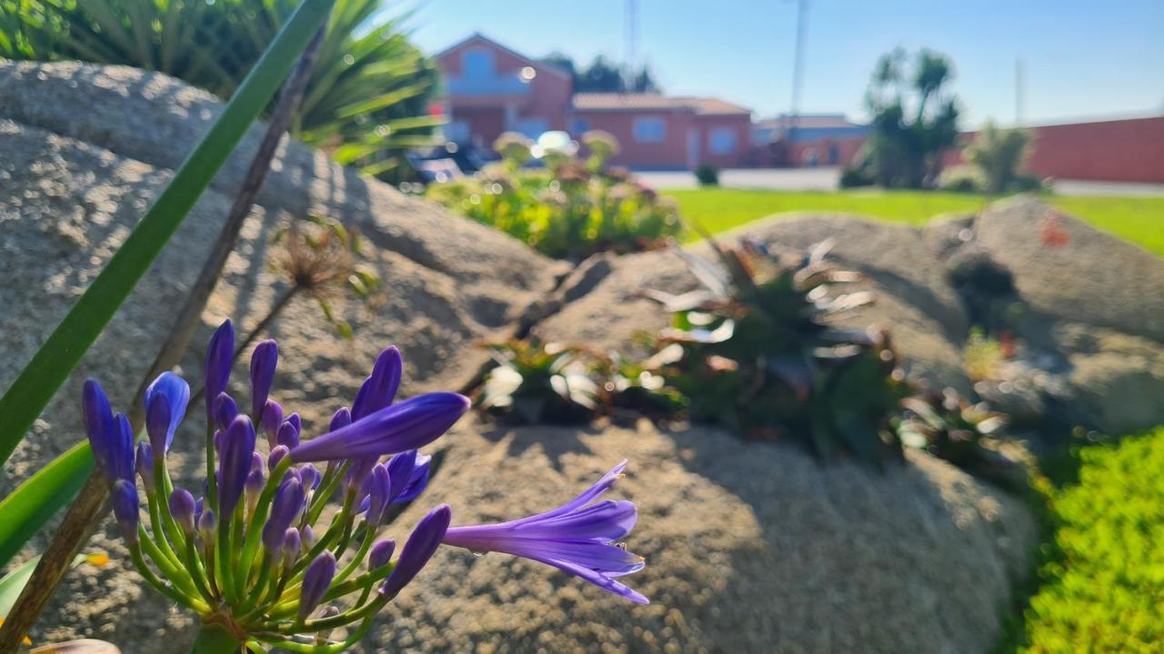 Villa Hollidays Dreams à Póvoa de Varzim Extérieur photo