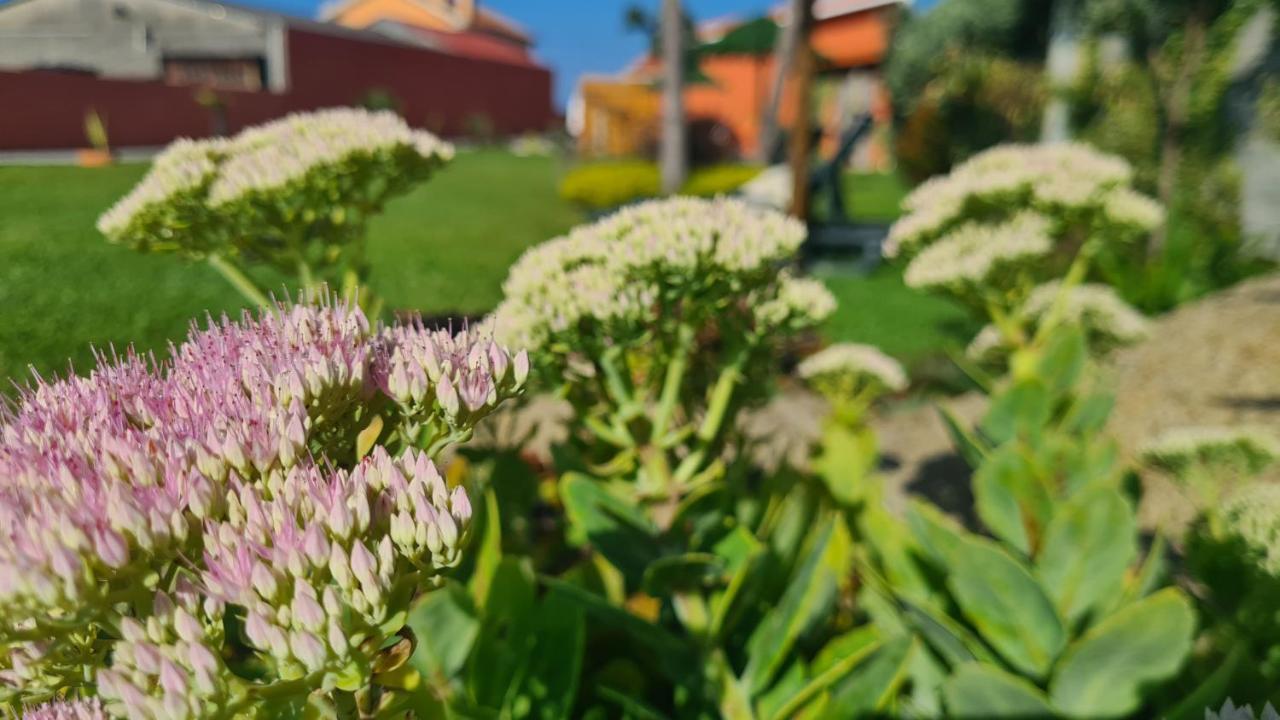 Villa Hollidays Dreams à Póvoa de Varzim Extérieur photo