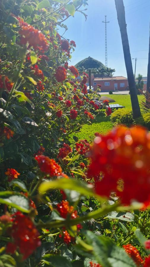 Villa Hollidays Dreams à Póvoa de Varzim Extérieur photo