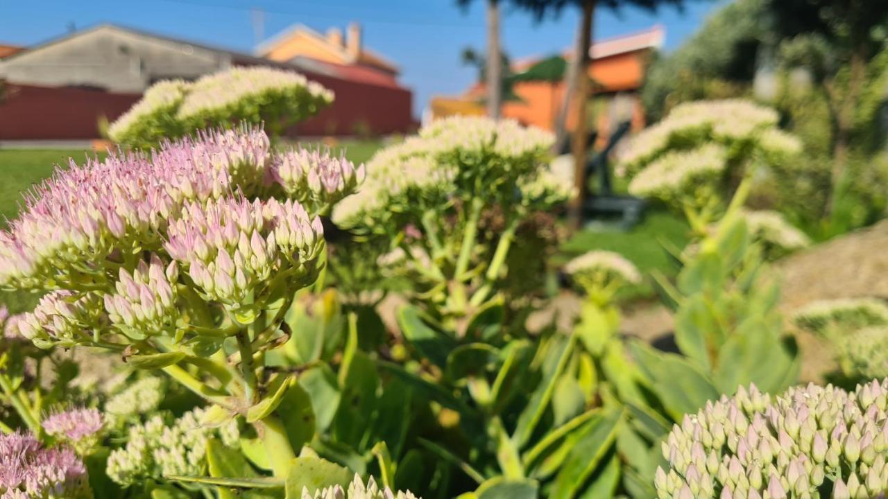 Villa Hollidays Dreams à Póvoa de Varzim Extérieur photo